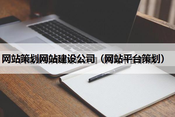 网站策划网站建设公司（网站平台策划）