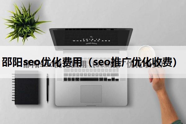 邵阳seo优化费用（seo推广优化收费）