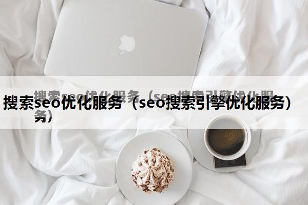 搜索seo优化服务（seo搜索引擎优化服务）