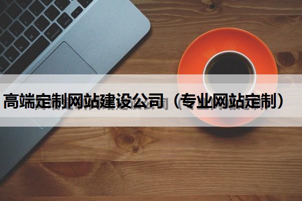 高端定制网站建设公司（专业网站定制）