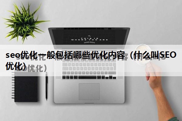 seo优化一般包括哪些优化内容（什么叫SEO优化）