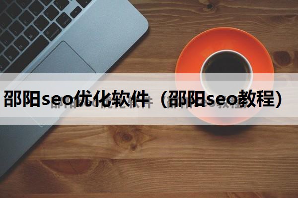 邵阳seo优化软件（邵阳seo教程）