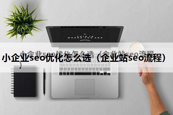 小企业seo优化怎么选（企业站seo流程）