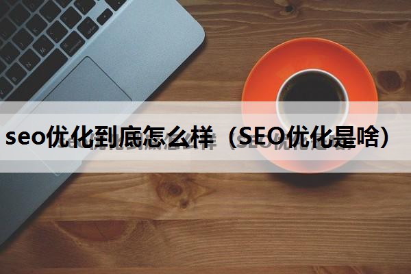 seo优化到底怎么样（SEO优化是啥）