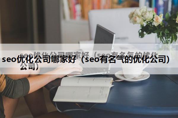 seo优化公司哪家好（seo有名气的优化公司）