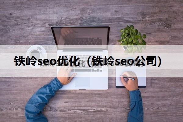 铁岭seo优化（铁岭seo公司）