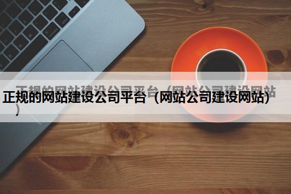 正规的网站建设公司平台（网站公司建设网站）