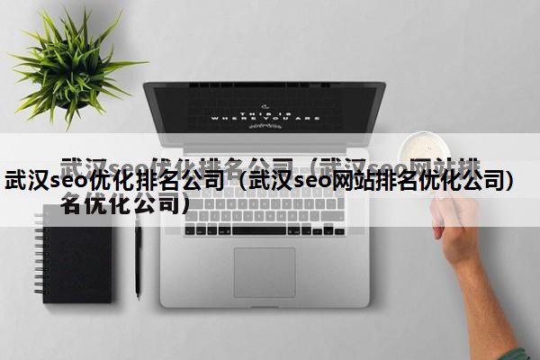 武汉seo优化排名公司（武汉seo网站排名优化公司）