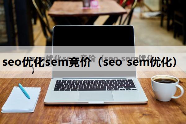 seo优化sem竞价（seo sem优化）