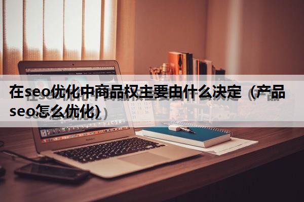 在seo优化中商品权主要由什么决定（产品seo怎么优化）