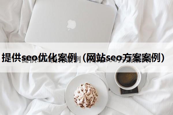 提供seo优化案例（网站seo方案案例）