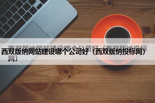 西双版纳网站建设哪个公司好（西双版纳投标网）