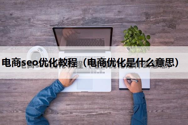 电商seo优化教程（电商优化是什么意思）