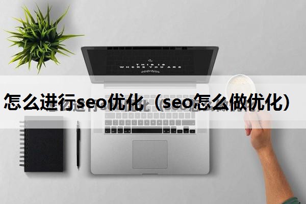 怎么进行seo优化（seo怎么做优化）