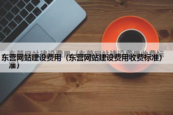 东营网站建设费用（东营网站建设费用收费标准）