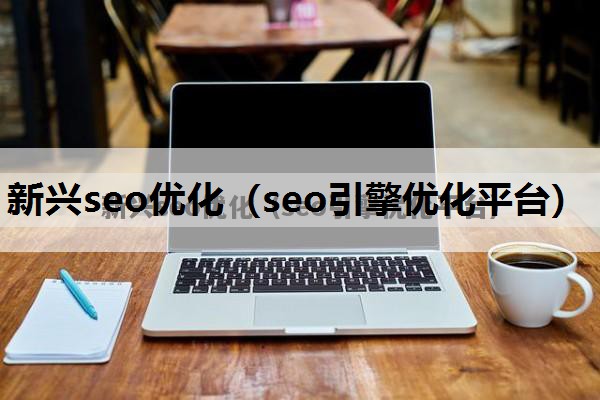 新兴seo优化（seo引擎优化平台）