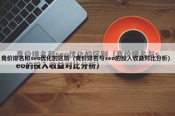 竞价排名和seo优化的区别（竞价排名与seo的投入收益对比分析）