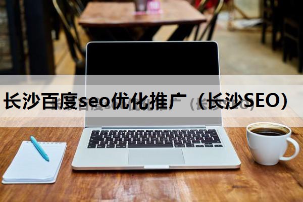 长沙百度seo优化推广（长沙SEO）