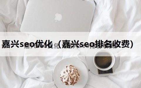 嘉兴seo优化（嘉兴seo排名收费）