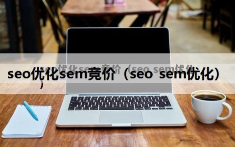 seo优化sem竞价（seo sem优化）